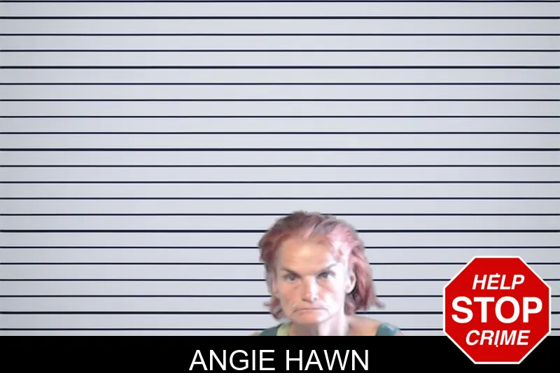 Angie Hawn mugshot – DeKalb County , Georgia Angie Hawn mugshot