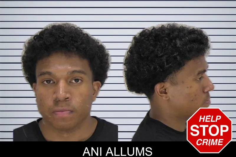 Ani Allums mugshot