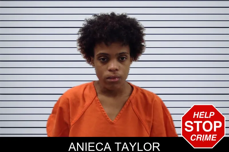 Anieca Taylor mugshot – Pickens County , Georgia Anieca Taylor mugshot