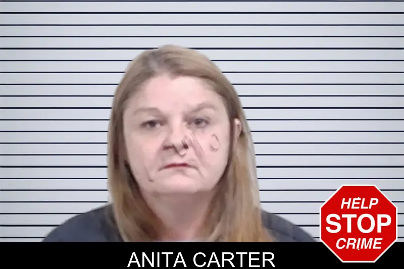 Anita Carter mugshot – Lowndes County , Georgia Anita Carter mugshot