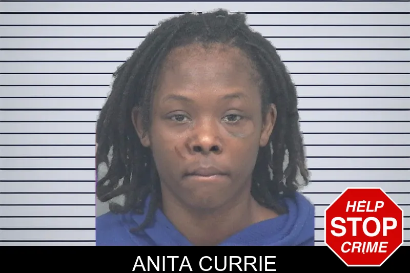 Anita Currie mugshot – Gwinnett County , Georgia Anita Currie mugshot