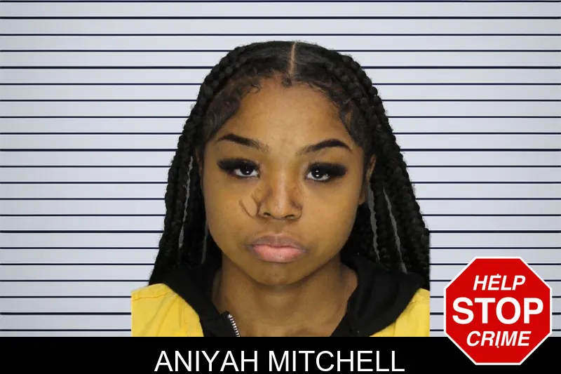 Aniyah Mitchell mugshot – Cobb County , Georgia Aniyah Mitchell mugshot