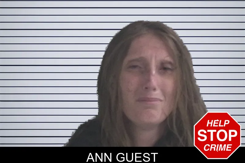 Ann Guest mugshot – Brantley County , Georgia Ann Guest mugshot