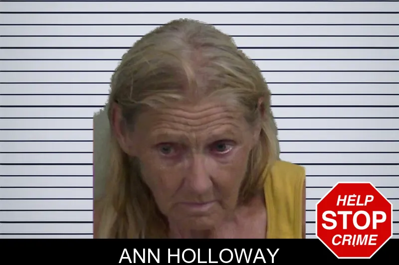 Ann Holloway mugshot – Wayne County , Georgia Ann Holloway mugshot