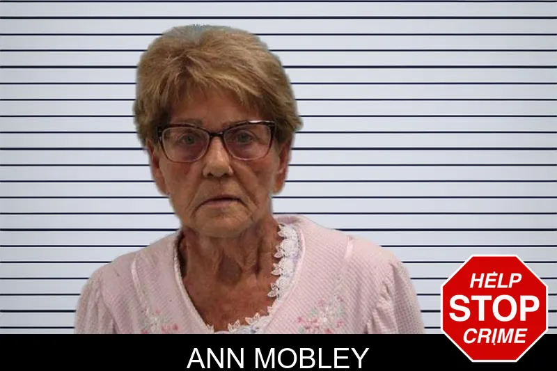 Ann Mobley mugshot – Grady County , Georgia Ann Mobley mugshot
