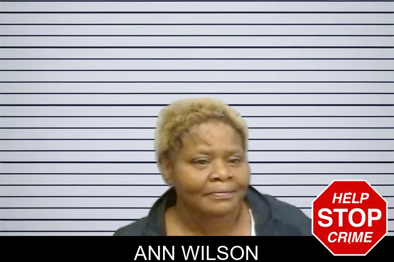 Ann Wilson mugshot – Fulton County , Georgia Ann Wilson mugshot
