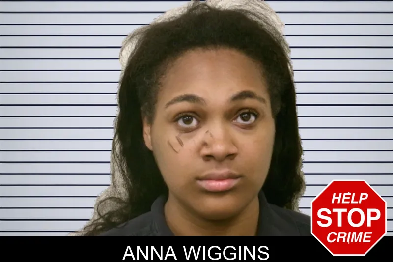 Anna Wiggins mugshot – Bulloch County , Georgia Anna Wiggins mugshot