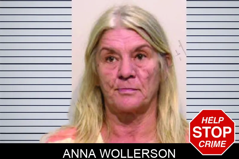 Anna Wollerson mugshot – Bartow County , Georgia Anna Wollerson mugshot