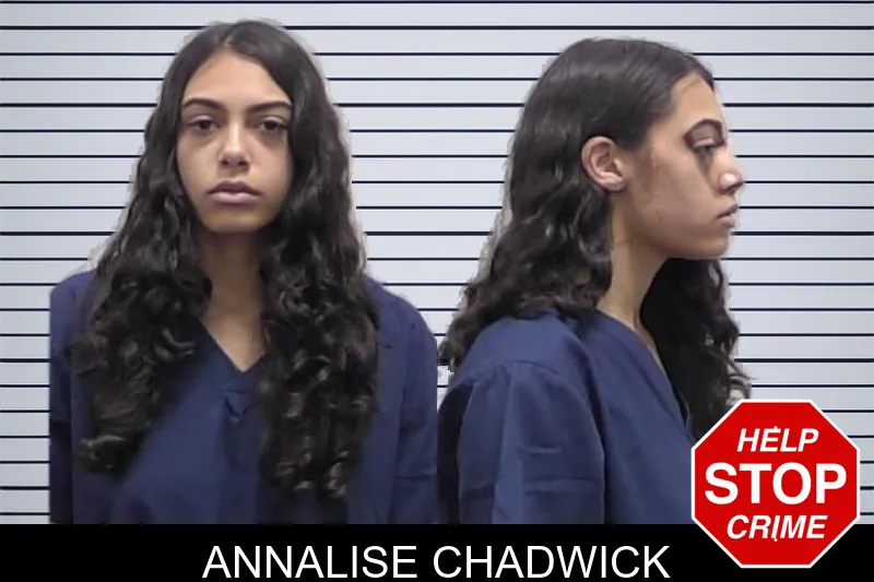 Annalise Chadwick mugshot – Clarke County , Georgia Annalise Chadwick mugshot