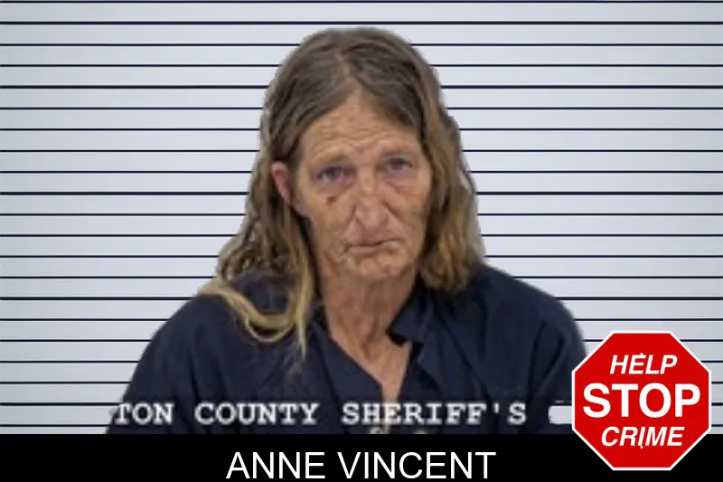Anne Vincent mugshot