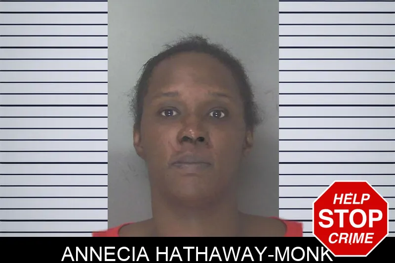 Annecia Hathaway-Monk mugshot – Douglas County , Georgia Annecia Hathaway-Monk mugshot