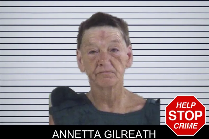 Annetta Gilreath mugshot – Whitfield County , Georgia Annetta Gilreath mugshot