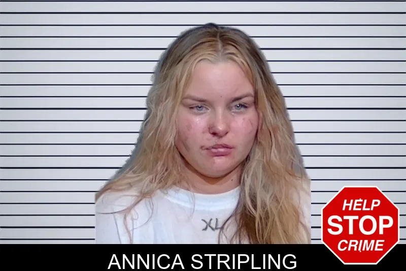 Annica Stripling mugshot – Glynn County , Georgia Annica Stripling mugshot