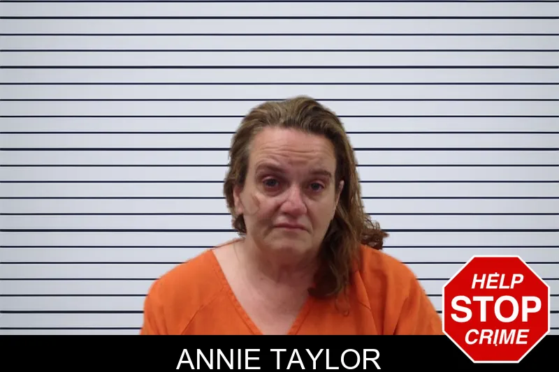 Annie Taylor mugshot