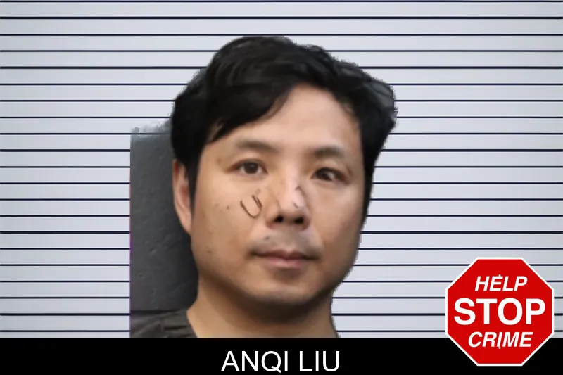 Anqi Liu mugshot – Forsyth County , Georgia Anqi Liu mugshot