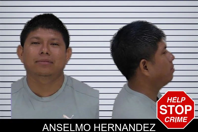 Anselmo Hernandez mugshot