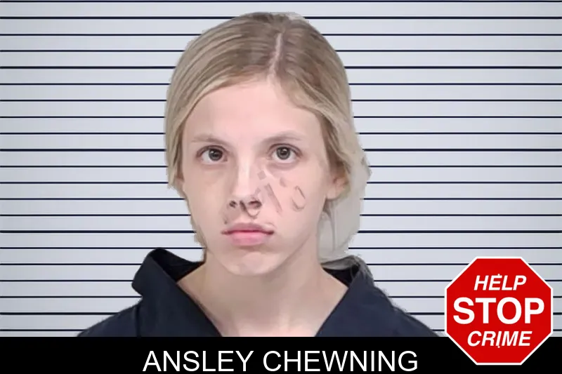 Ansley Chewning mugshot – Lowndes County , Georgia Ansley Chewning mugshot
