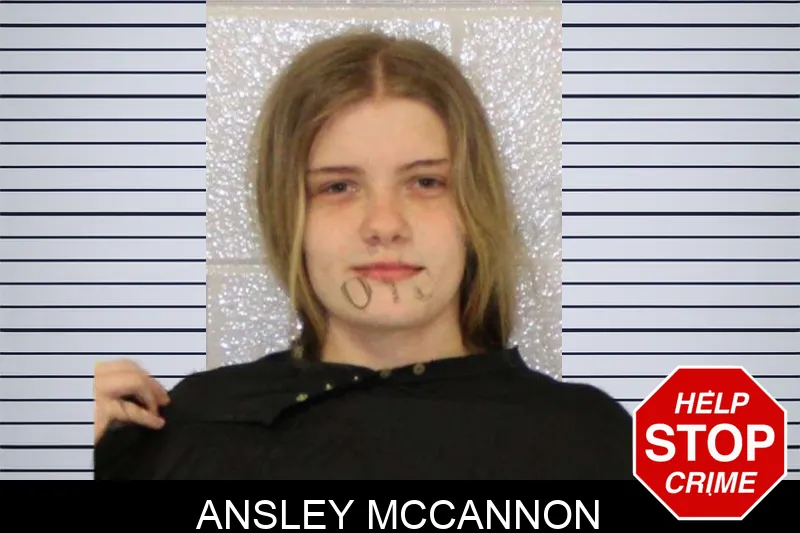Ansley McCannon mugshot – Carroll County , Georgia Ansley McCannon mugshot