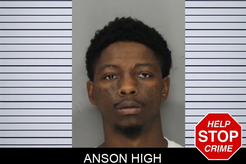 Anson High mugshot – Cobb County , Georgia Anson High mugshot