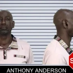Anthony Anderson mugshot
