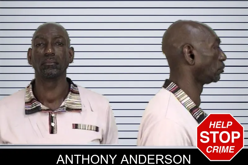 Anthony Anderson mugshot – Camden County , Georgia Anthony Anderson mugshot