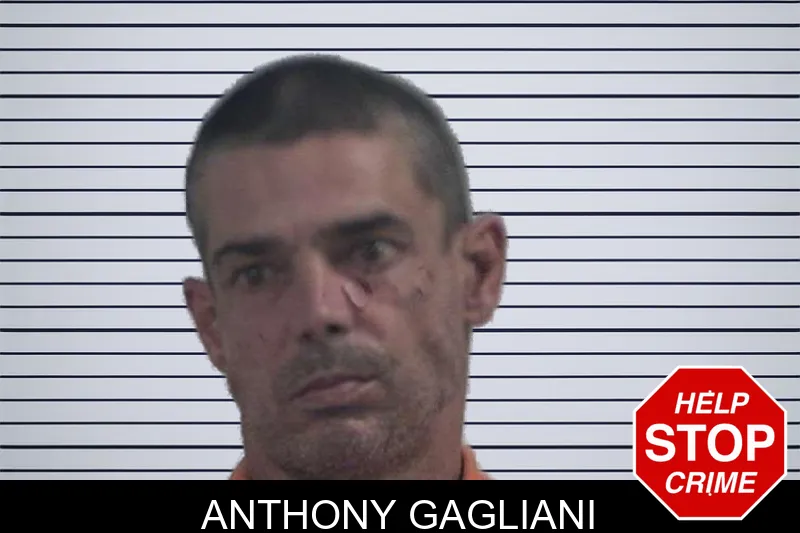 Anthony Gagliani mugshot – McDuffie County , Georgia Anthony Gagliani mugshot
