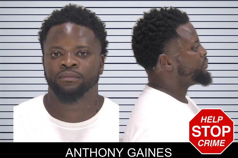 Anthony Gaines mugshot