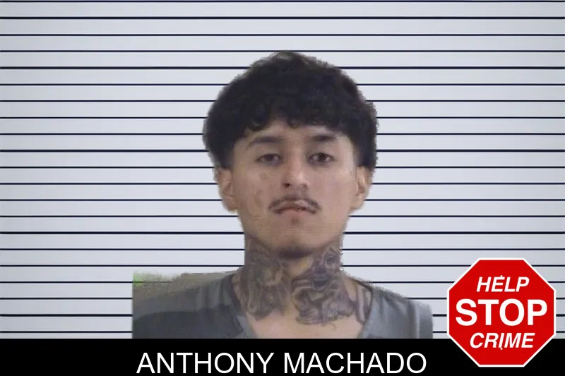 Anthony Machado mugshot – Whitfield County , Georgia Anthony Machado mugshot