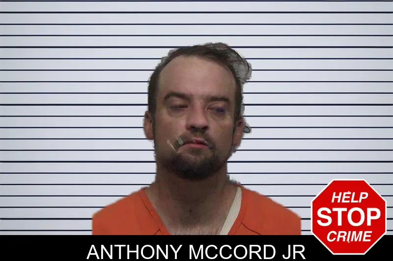 Anthony McCord Jr mugshot