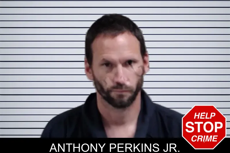 Anthony Perkins Jr. mugshot – Lowndes County , Georgia Anthony Perkins Jr. mugshot