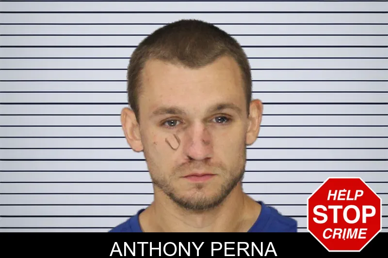 Anthony Perna mugshot – Cobb County , Georgia Anthony Perna mugshot
