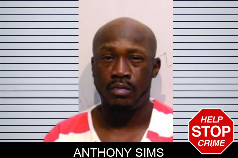 Anthony Sims mugshot