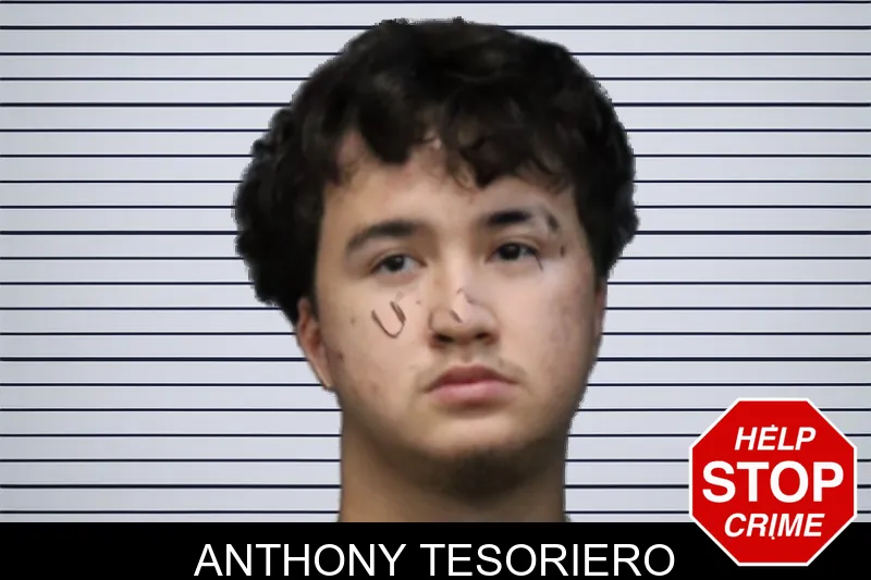 Anthony Tesoriero mugshot – Forsyth County , Georgia Anthony Tesoriero mugshot