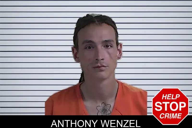 Anthony Wenzel mugshot – Fannin County , Georgia Anthony Wenzel mugshot