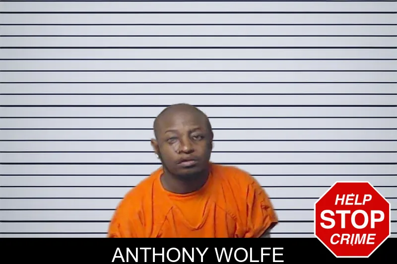 Anthony Wolfe mugshot
