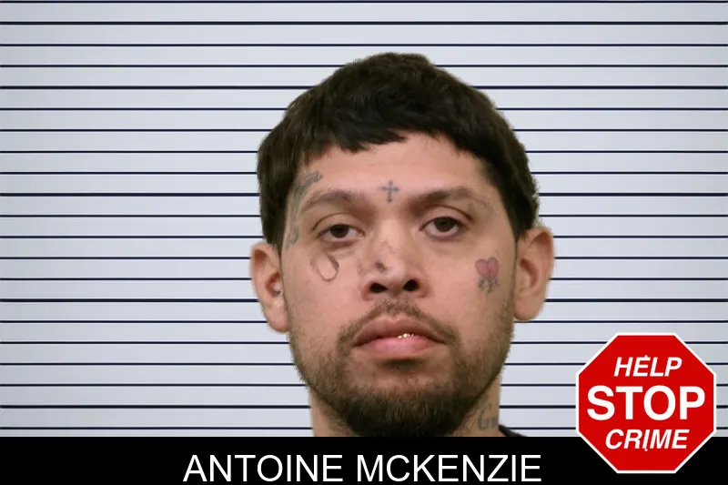 Antoine McKenzie mugshot – Bulloch County , Georgia Antoine McKenzie mugshot