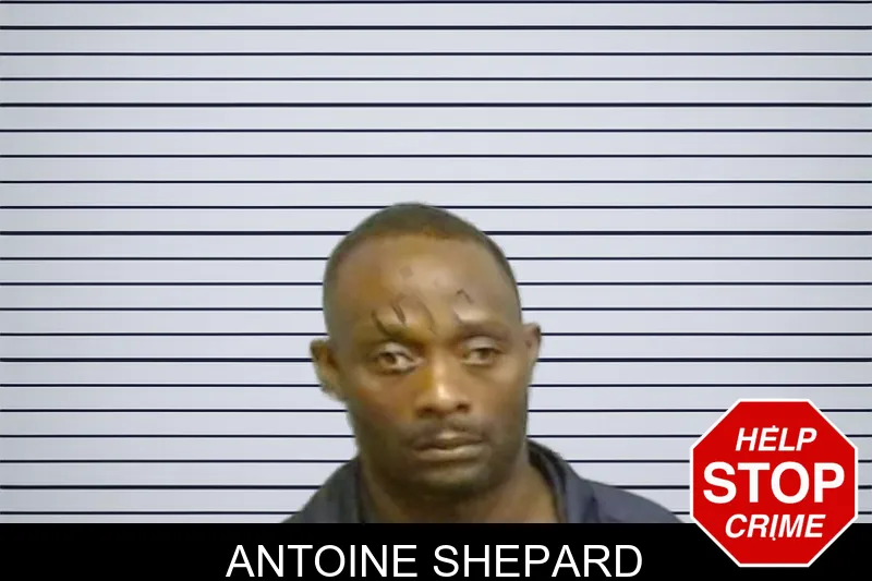 Antoine Shepard mugshot – Fulton County , Georgia Antoine Shepard mugshot