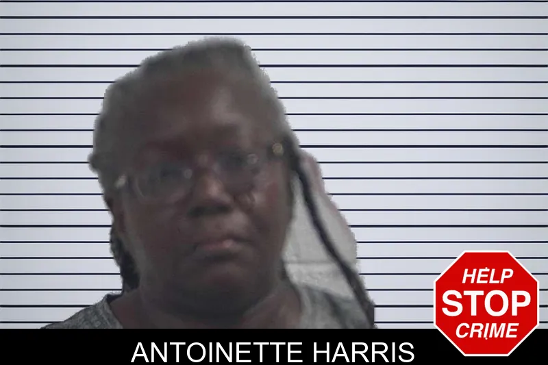 Antoinette Harris mugshot – McDuffie County , Georgia Antoinette Harris mugshot