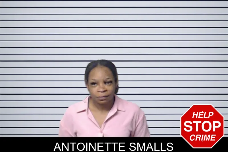 Antoinette Smalls mugshot – DeKalb County , Georgia Antoinette Smalls mugshot