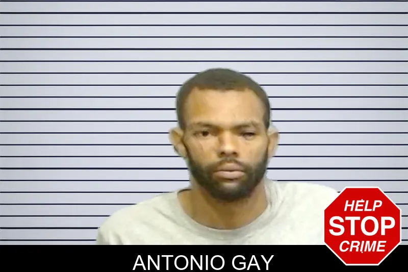 Antonio Gay mugshot