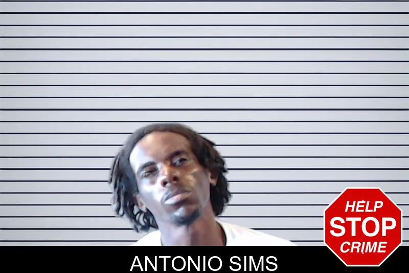 Antonio Sims mugshot
