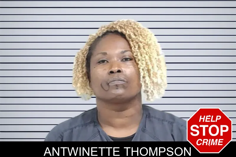 Antwinette Thompson mugshot – Lowndes County , Georgia Antwinette Thompson mugshot