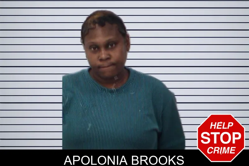 Apolonia Brooks mugshot – Emanuel County , Georgia Apolonia Brooks mugshot
