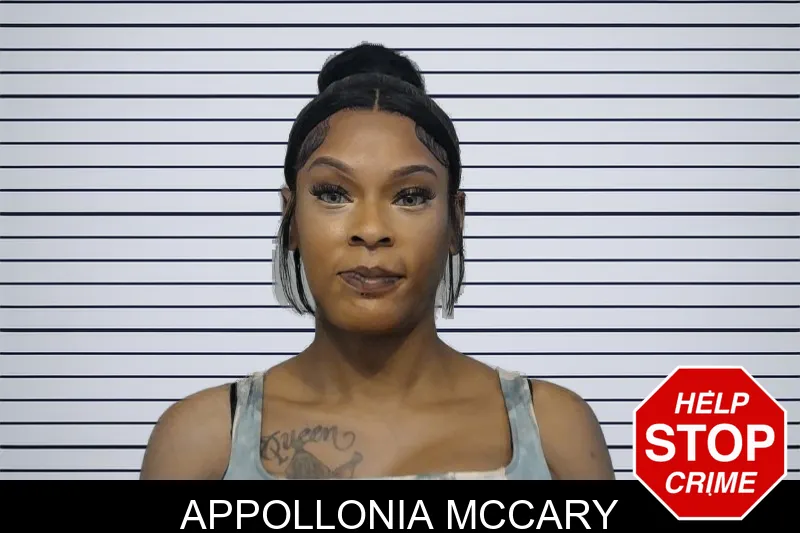 Appollonia McCary mugshot – Bibb County , Georgia Appollonia McCary mugshot