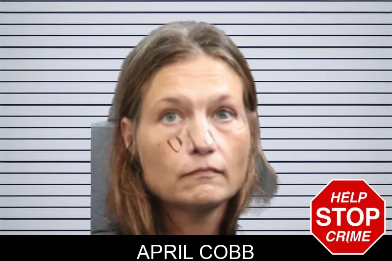April Cobb mugshot – Forsyth County , Georgia April Cobb mugshot