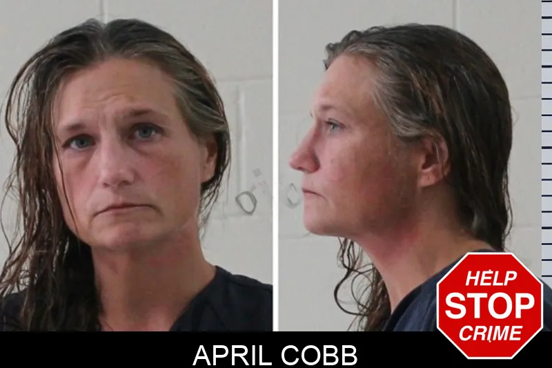 April Cobb mugshot