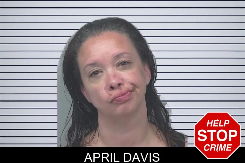 April Davis mugshot – Gwinnett County , Georgia April Davis mugshot