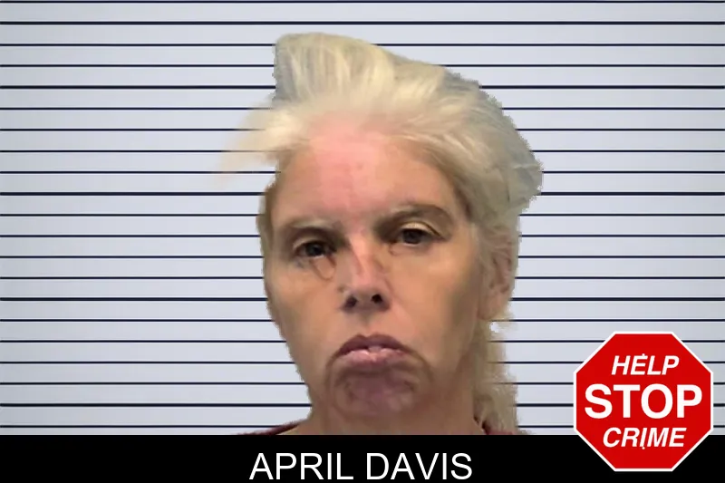 April Davis mugshot