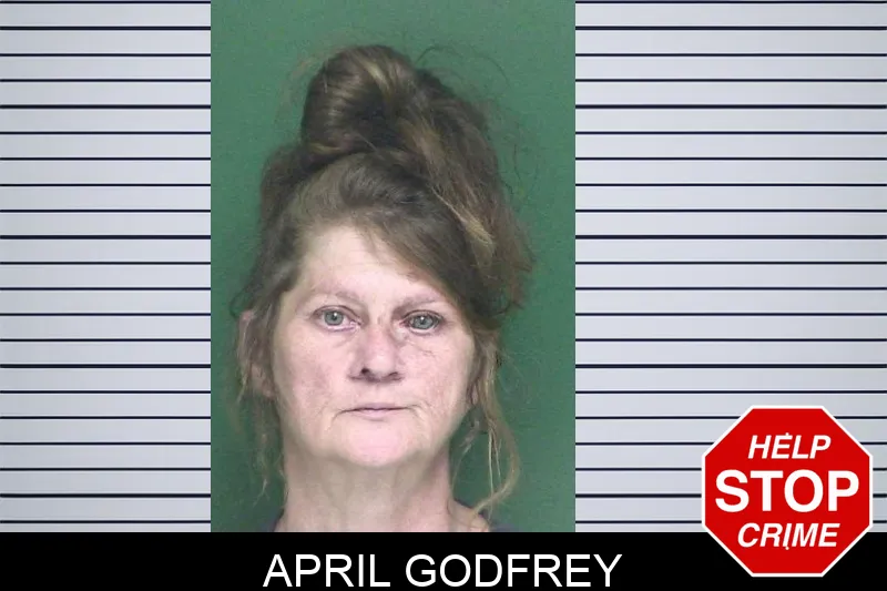 April Godfrey mugshot – Appling County , Georgia April Godfrey mugshot