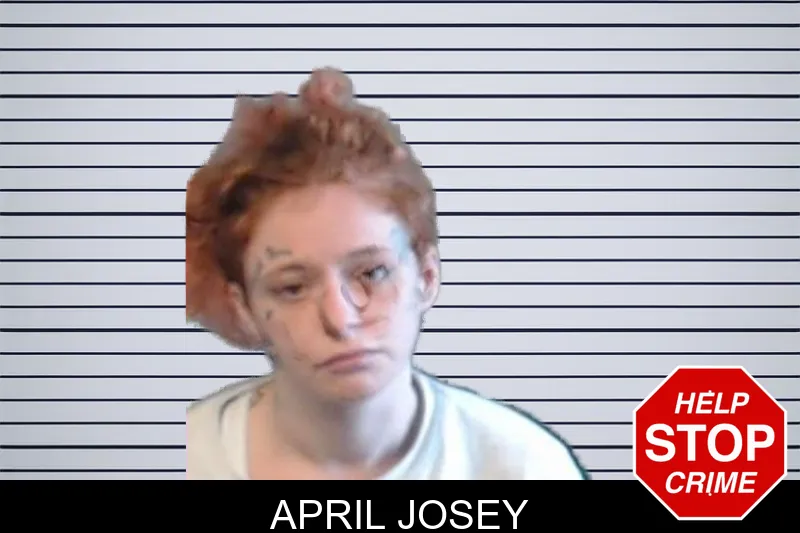 April Josey mugshot – DeKalb County , Georgia April Josey mugshot